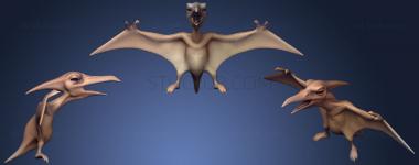 3D model Pterodactyl (STL)